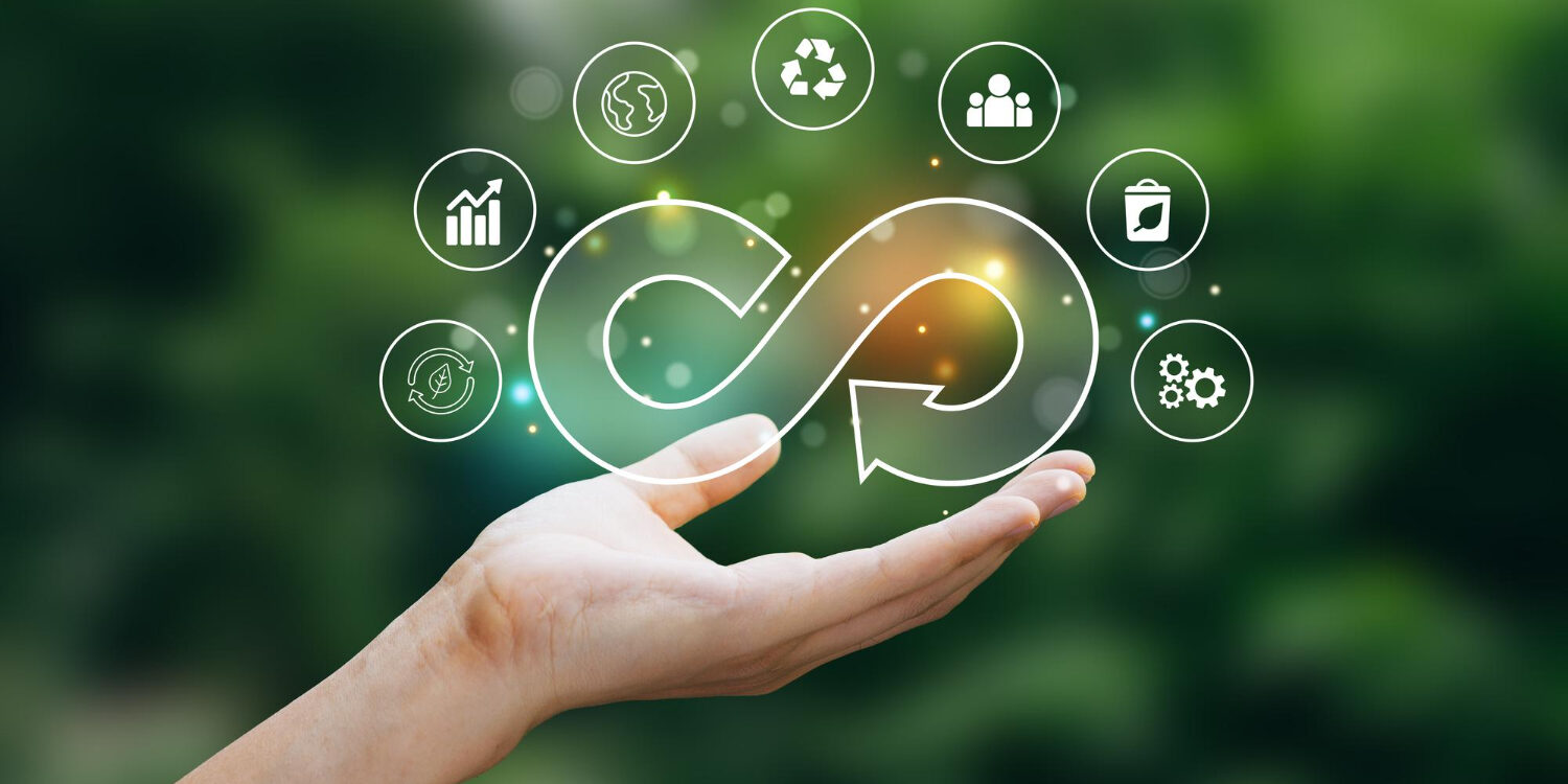 catena del valore sostenibile